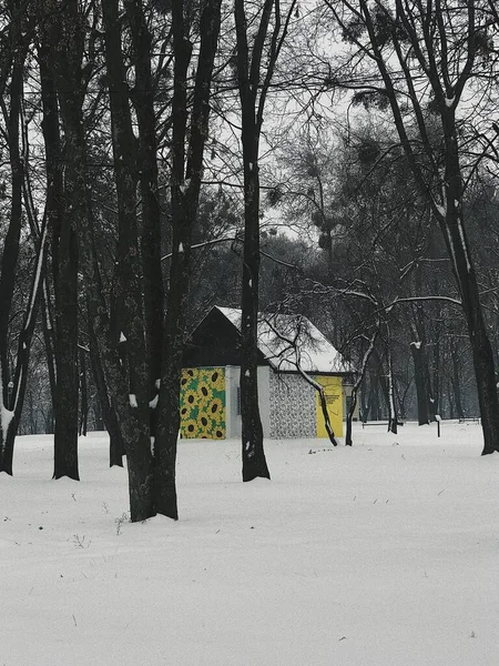 Edificio Parque Invierno —  Fotos de Stock