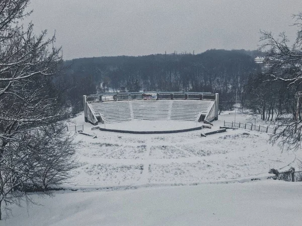 Kış Manzarası Kış Ağaçlarının Panoramik Görüntüsü — Stok fotoğraf