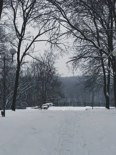 Egy Tapasz Panorámás Kilátáshoz Magaslaton Téli Park — Stock Fotó