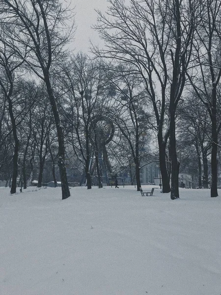 Vieja Noria Parque Invierno —  Fotos de Stock