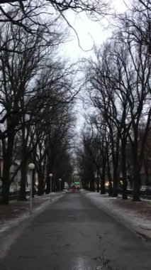 Sonbahar parkı. Karanlık ve kasvetli bir havada çekilen parkın videosu..