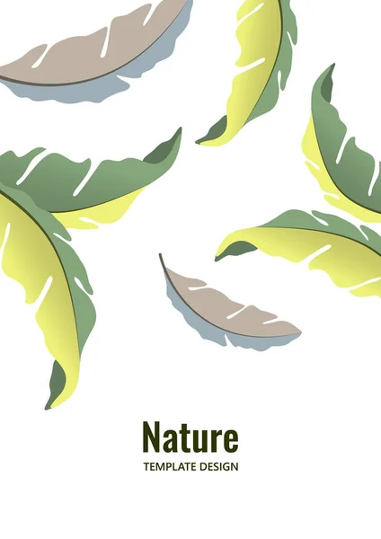 Colorful Decorative Oak Leaves White Background Falling Foliage Creative Template — Stock Vector