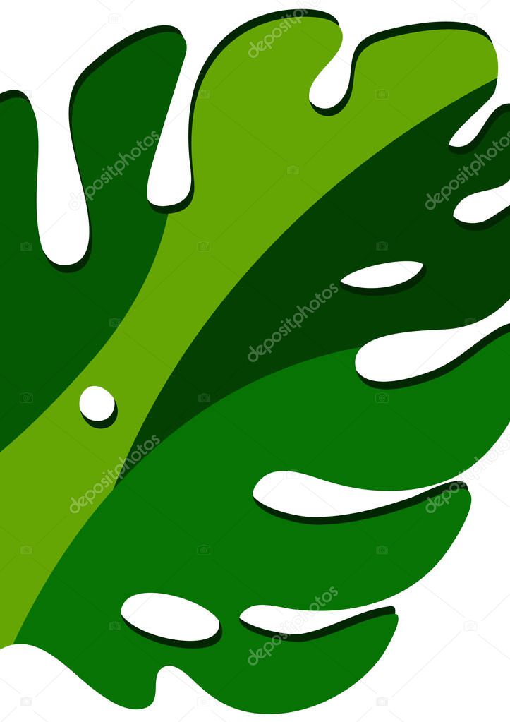 Monstera leaves in modern paper cut style. Multi-colored parts. Can be used for advertising and promotion. Vector illustration