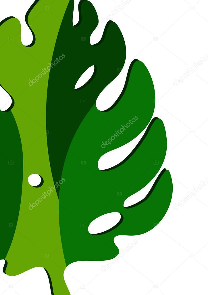 Monstera leaves in modern paper cut style. Multi-colored parts. Can be used for advertising and promotion. Vector illustration
