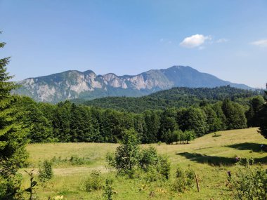 Dağları ve mavi gökyüzü olan güzel bir manzara.
