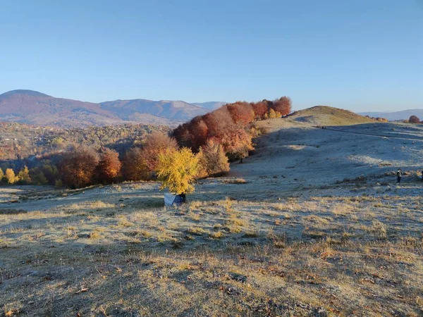 Ağacı ve Talea köyü yakınlarında bir dağı olan güzel bir manzara.