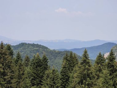 Dağları ve ormanı olan güzel bir manzara.