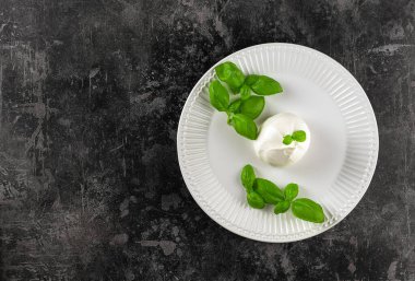 Minimalist bir kavram. Vejetaryen aperatifi, fesleğenli ve zeytinyağlı burrata peyniri. İtalyan yemeği..