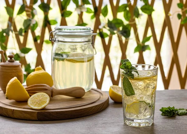 Homemade Fermentation Probiotic Honey Lemonade Soda Refreshing Summer Drink — Stock Photo, Image