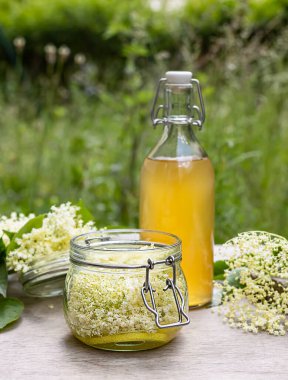 Klasik elderflower likörü tarifi. Yaban elder çiçekleri ve taze limon suyu. Yaz limonataları, içkiler ve pişirme için kolay bir temel. Dikey yönelim