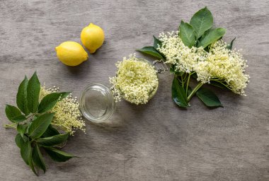 Klasik elderflower likörü tarifi. Yaban elder çiçekleri ve taze limon suyu. Yaz limonataları, içkiler ve pişirme için kolay bir temel.. 