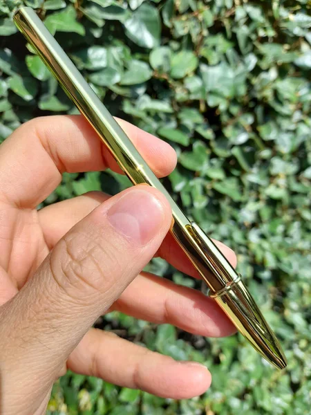 Penna Dorata Sfondo Naturale — Foto Stock