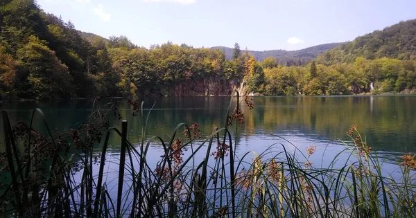 Wasserfall Einem Naturschutzgebiet — Stockfoto