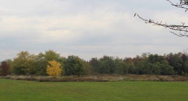 Kasım ayında doğal sonbahar manzarası