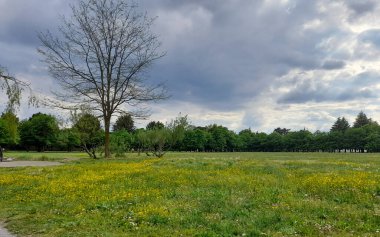 Bulutlu bir günde baharda doğa parkı