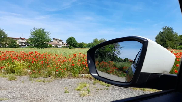 Водити Машину Біля Макового Поля Влітку — стокове фото