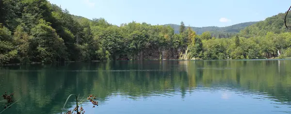 Jezioro Parku Przyrody Lecie — Zdjęcie stockowe