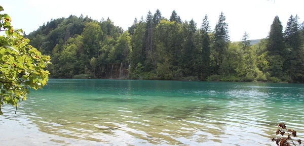 Jezero Přírodním Parku Létě — Stock fotografie