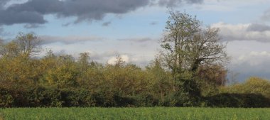 Bir sonbahar gününde doğal manzara