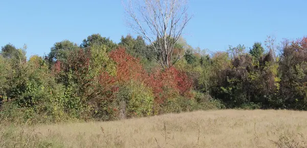 Natural Landscape Autumn Day — Stock Photo, Image