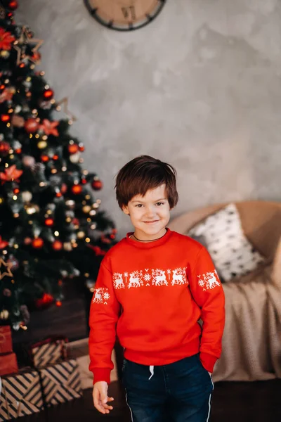 Retrato Niño Sonriente Pie Árbol Navidad Casa —  Fotos de Stock
