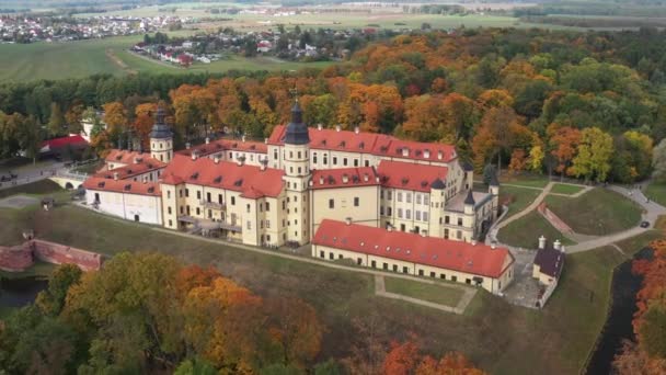 Vista superior del castillo y parque de otoño de Nesvizh. Belarús — Vídeos de Stock