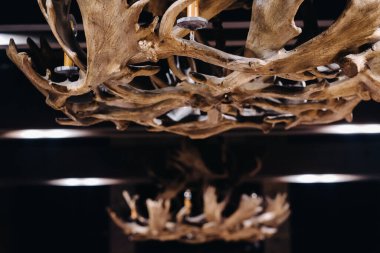 İç kısmın tavanında asılı geyik boynuzlarından yapılmış bir avize..