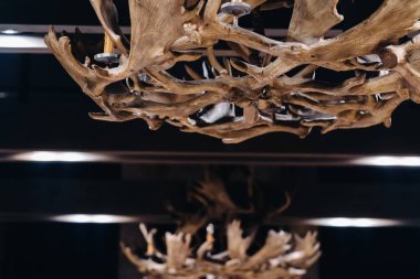 İç kısmın tavanında asılı geyik boynuzlarından yapılmış bir avize..