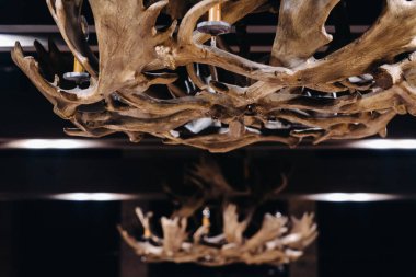 İç kısmın tavanında asılı geyik boynuzlarından yapılmış bir avize..