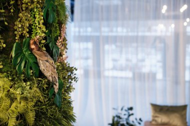 Odanın içindeki duvarda yeşil bitkiler var. Yaprakların üzerinde oturan bir kuşun olduğu bir odada dikey yeşil bahçe.