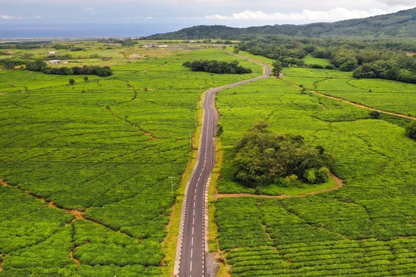 Vista Aérea Desde Arriba Una Carretera Que Pasa Por Plantaciones — Foto de Stock