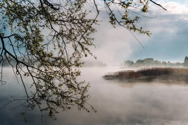 Foggy Morning River River River Bank Fog — Stockfoto