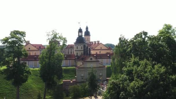 Blick Von Oben Auf Die Burg Neswisch Und Den Park — Stockvideo