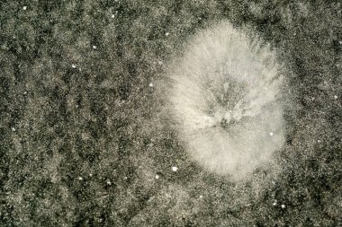 Kış geçmişi. Buzun üzerindeki beyaz kar dokusu. Saf beyaz kar.