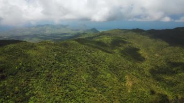 Ormanın ve mavi gökyüzünün üst manzarası, Mauritius.