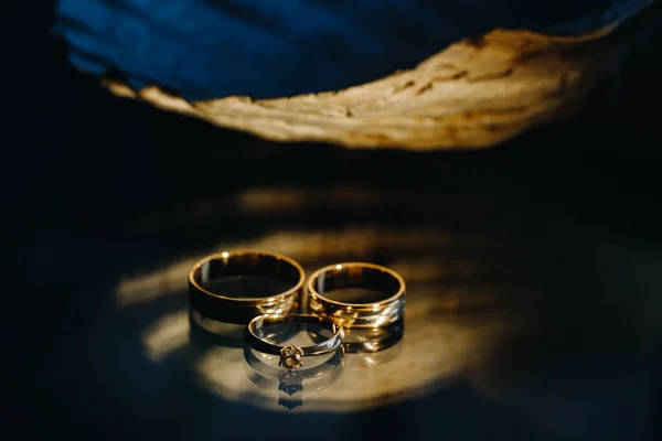 Egy Pár Arany Jegygyűrű Két Jegygyűrű — Stock Fotó