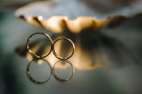 一对金戒指 两个结婚戒指 — 图库照片