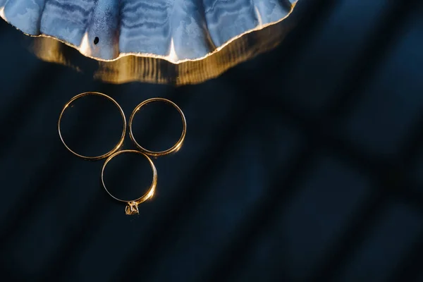 Par Anéis Casamento Ouro Dois Anéis Casamento — Fotografia de Stock