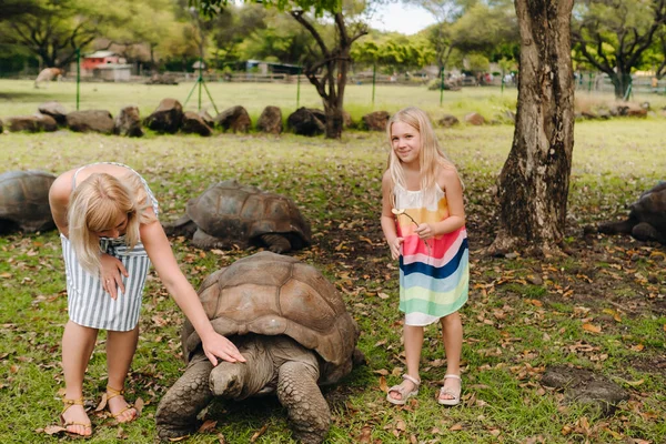 Familia Madre Hija Cerca Una Enorme Tortuga Parque Isla Mauricio — Foto de Stock