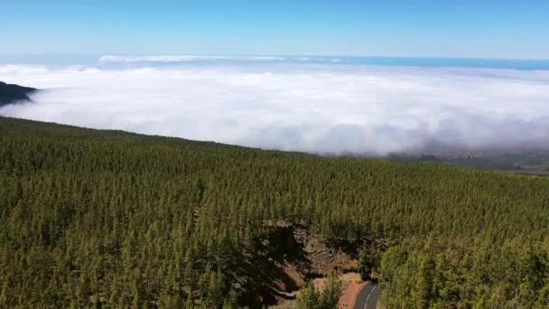 Vista superior acima das nuvens no Parque Nacional Teide, Tenerife, Ilhas Canárias, Espanha. — Vídeo de Stock