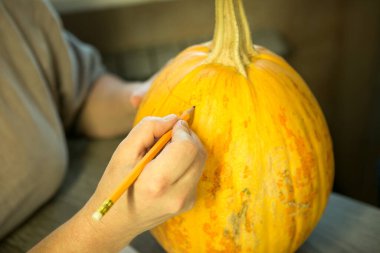 Jack O 'Lantern' i evde yapmak. Kalemle bir kadın eli, balkabağındaki kesik çizgilerini işaretler..