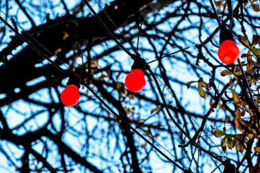 Açık hava ışık çelenklerinin arkaplan görüntüsü, kablolu klasik ampullere odaklan. Boşluğu kopyala.