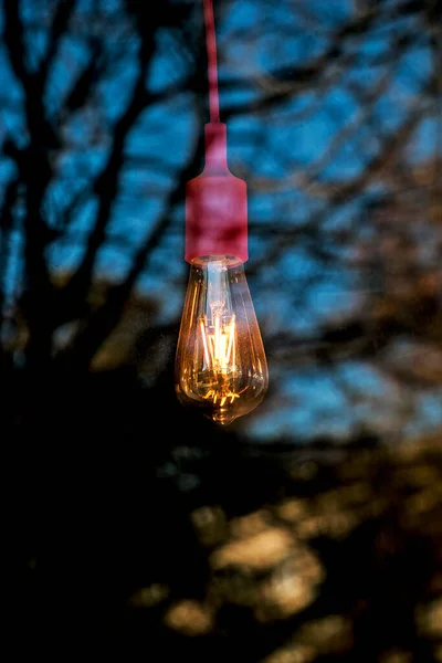 Açık Hava Işık Çelenklerinin Arkaplan Görüntüsü Kablolu Klasik Ampullere Odaklan — Stok fotoğraf