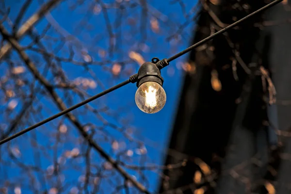 Imagem Fundo Grinaldas Iluminação Livre Foco Lâmpada Clássica Com Fiação — Fotografia de Stock