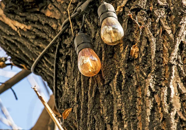 Hintergrundbild Einer Outdoor Lampe Fokus Auf Eine Klassische Glühbirne Mit — Stockfoto