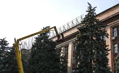 Şehir sokaklarının yeni yıla hazırlanması. Vinç sepetinde yükseklerde işçiler enerji tasarrufu sağlayan ampuller ve çelenkler için ağaçlar hazırlıyorlar. Belediyenin hizmetlerinde çalışıyor..