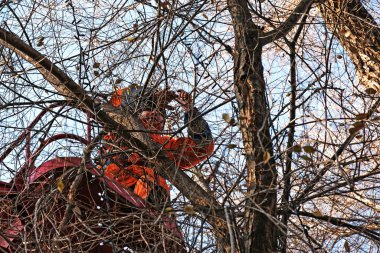 Dnepropetrovsk, Ukrayna - 11.26.2021: Bir kamyon vinci üzerindeki belediye çalışanları kentin parklarındaki ağaçları Noel ışıklarıyla kurup süslediler. Yüksek irtifa çalışması.