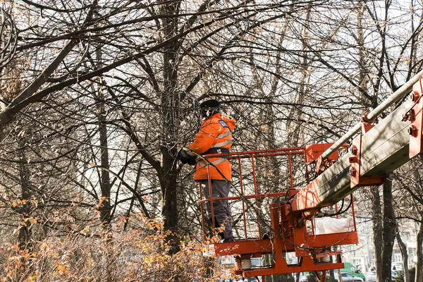Муніципальні Робітники Вантажному Крані Встановлюють Прикрашають Дерева Парках Міста Різдвяними — стокове фото