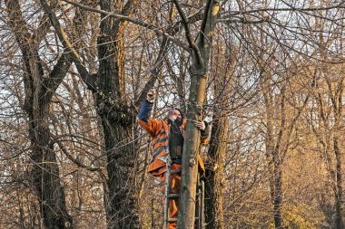 Dnepropetrovsk, Ukrayna - 11.24.2021: Kamyon vinçindeki belediye çalışanları şehrin sokaklarını Noel ışıklarıyla süslediler. Güneşli havada yüksek irtifa çalışması.