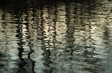 Çıplak ağaçların siluetleri nehrin su yüzeyine yansıyor. Sonbaharda. Çok kasvetli ve bulutlu bir hava.